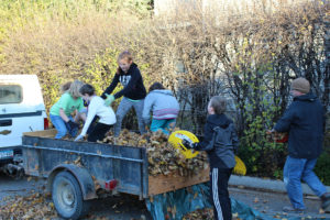 Fall Clean-up Day